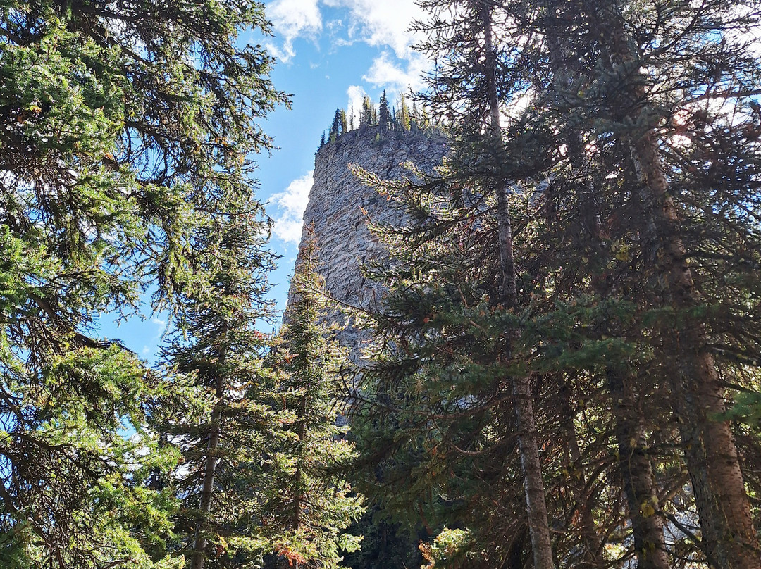 Timberline Tours Ltd. - Private Day Tours-路易斯湖必去景点