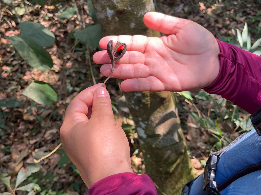 Pubi adventure-Sapezal必去景点