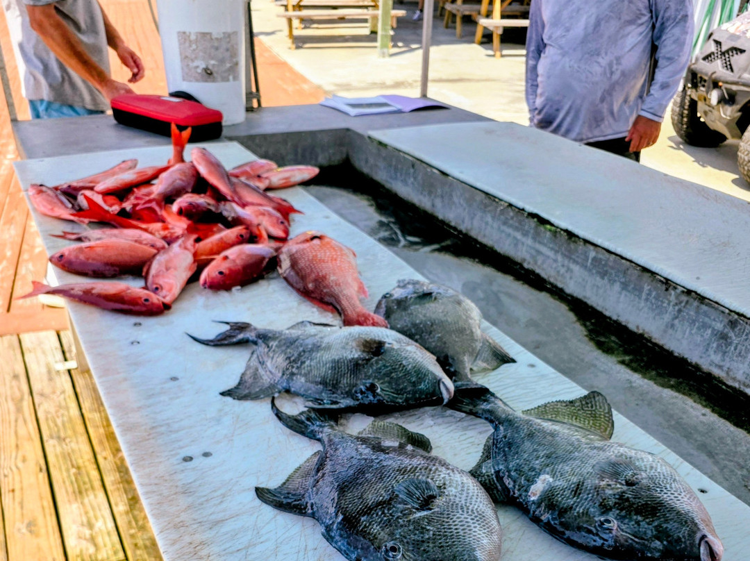 All Jack'd Up Charters-Perdido Key必去景点