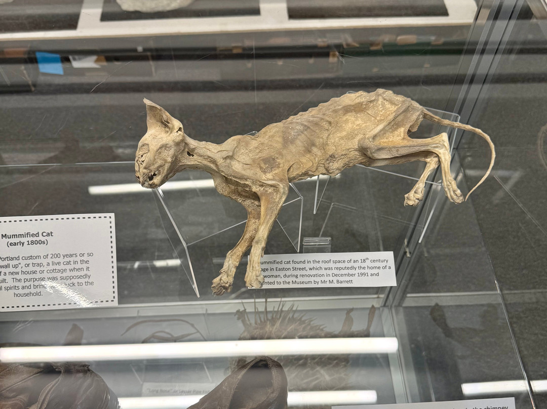 Portland Museum-Isle of Portland必去景点