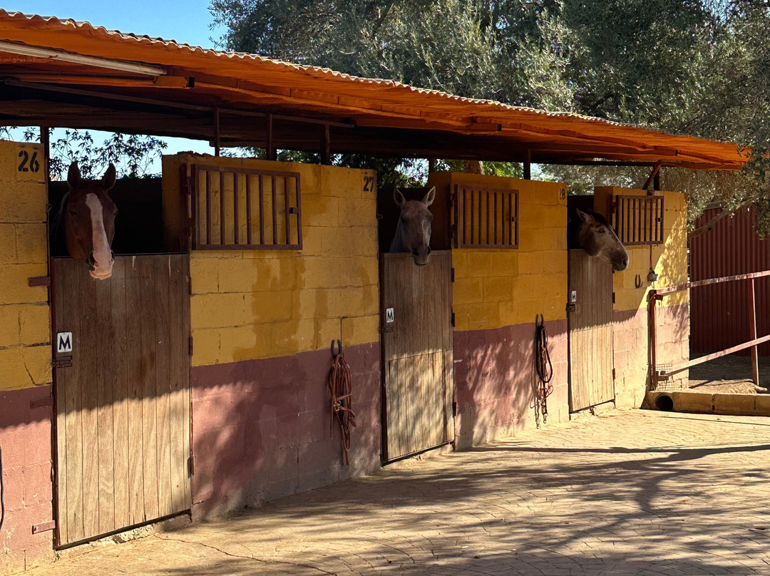 Centro Ecuestre Entrepinares-塞维利亚必去景点