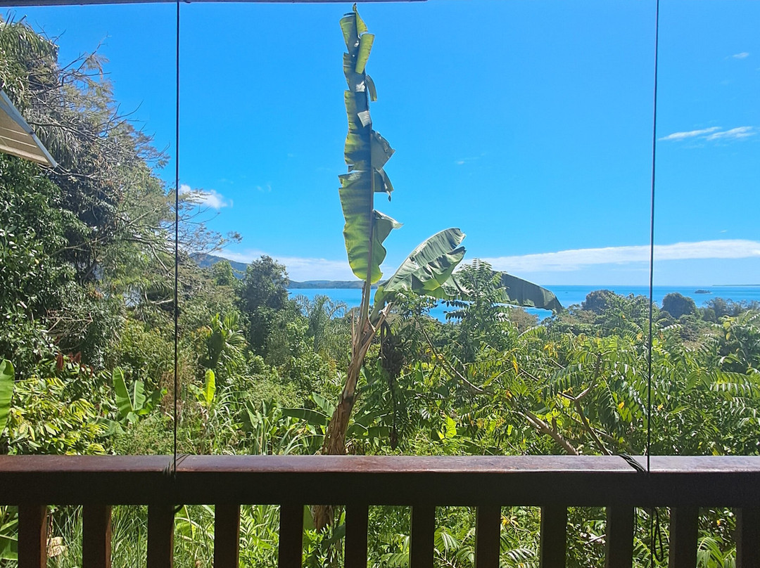 Black Lemur Sanctuary-Nosy Komba必去景点