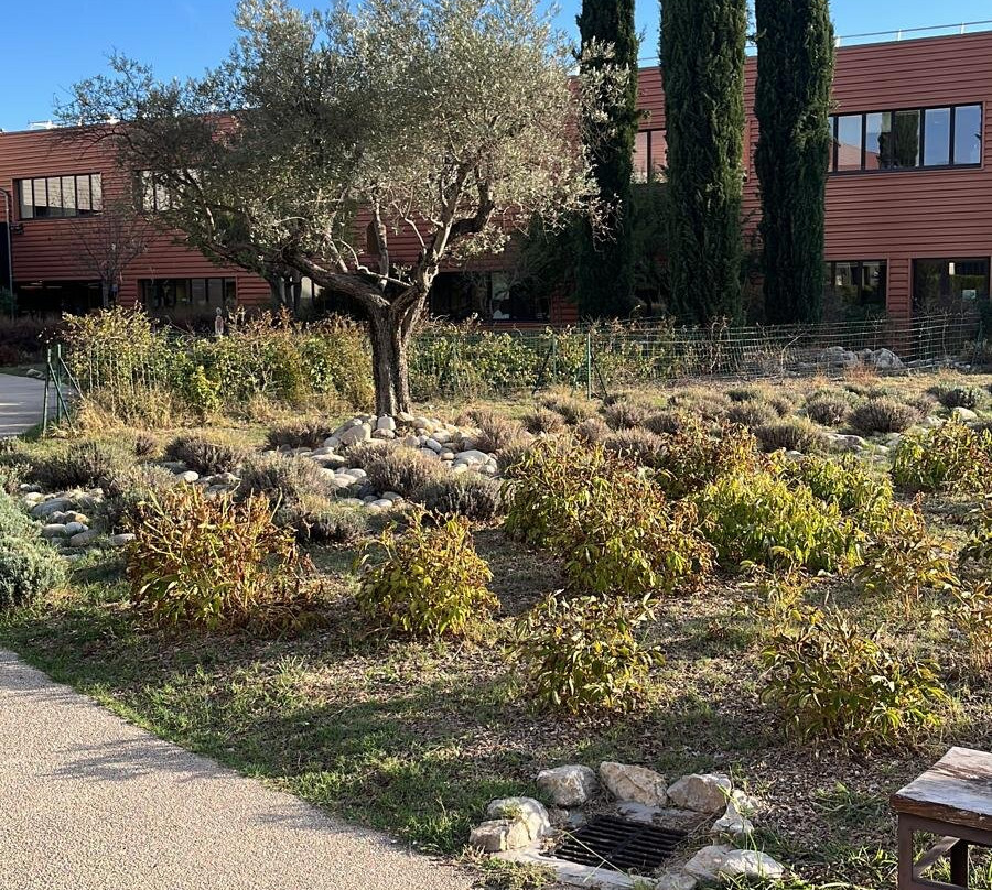 L'Occitane en Provence-马诺斯克必去景点