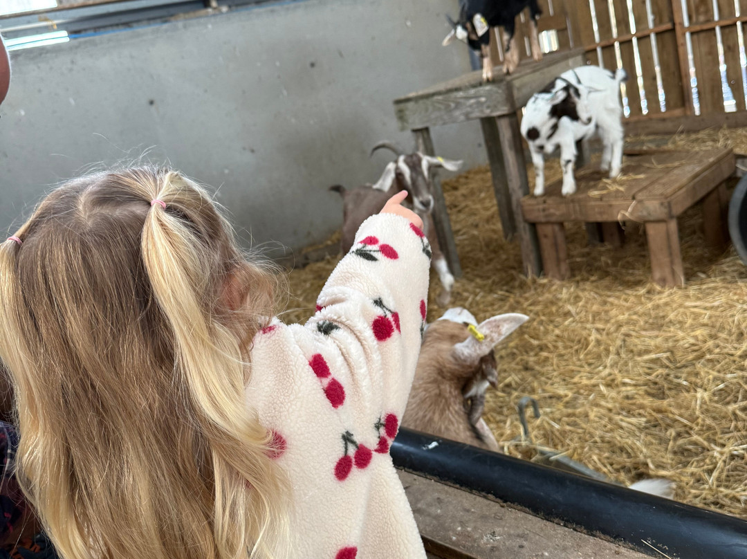 Wynford Farm Playbarn-Kingswells必去景点