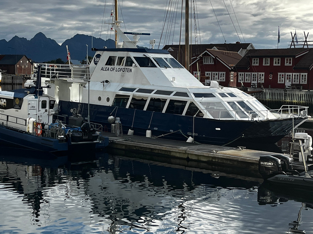 Go2Lofoten-斯沃尔韦尔必去景点