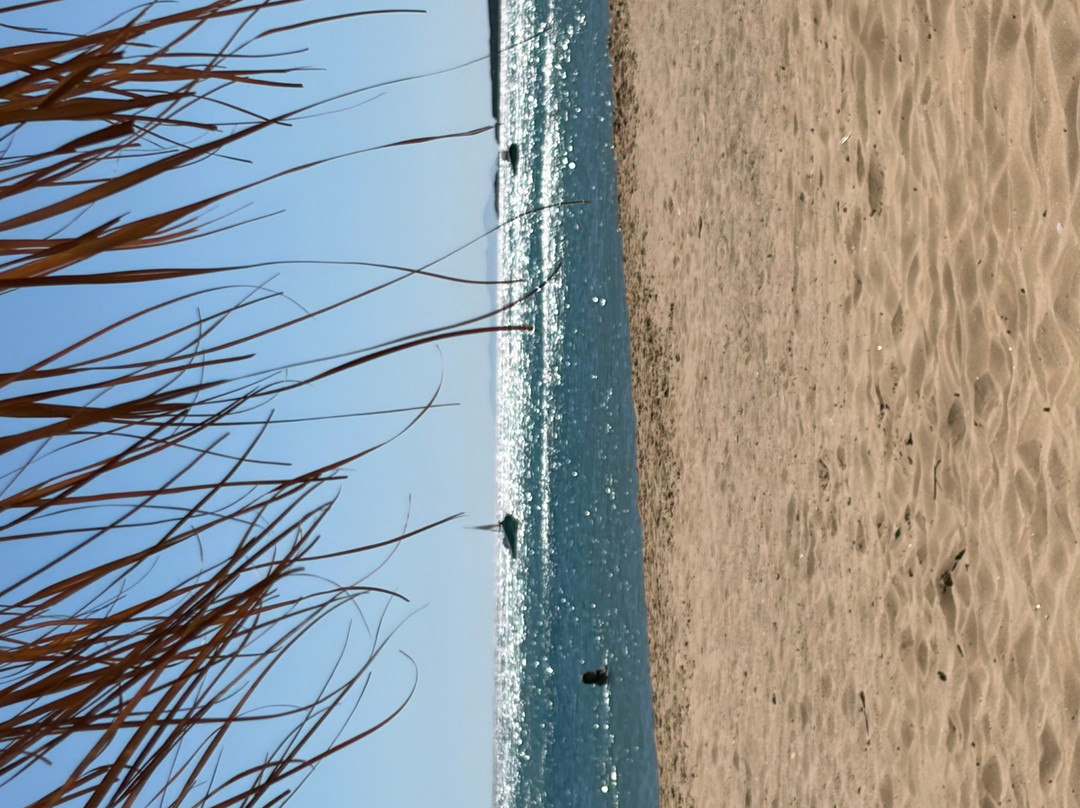Golden Beach-Drios必去景点