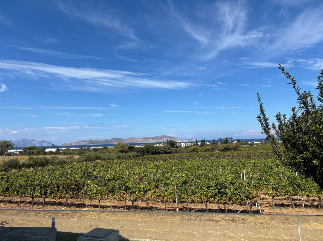 KTIMA AKRANI (Triantafyllopoulos Winery)-Asfendiou必去景点