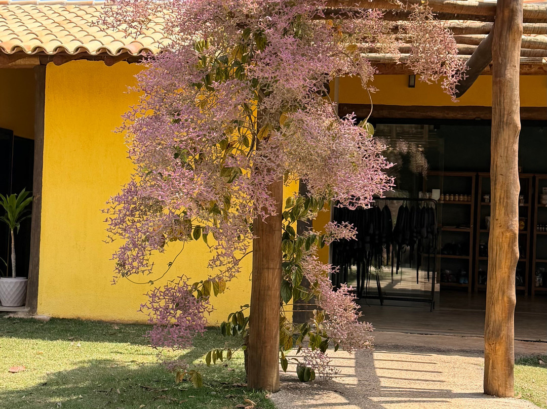 Cachoeira Canea de Ema-Capitolio必去景点