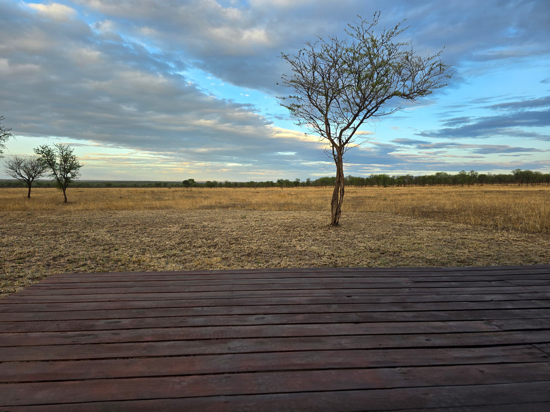 Serengeti Queens Camp-Seronera必去景点
