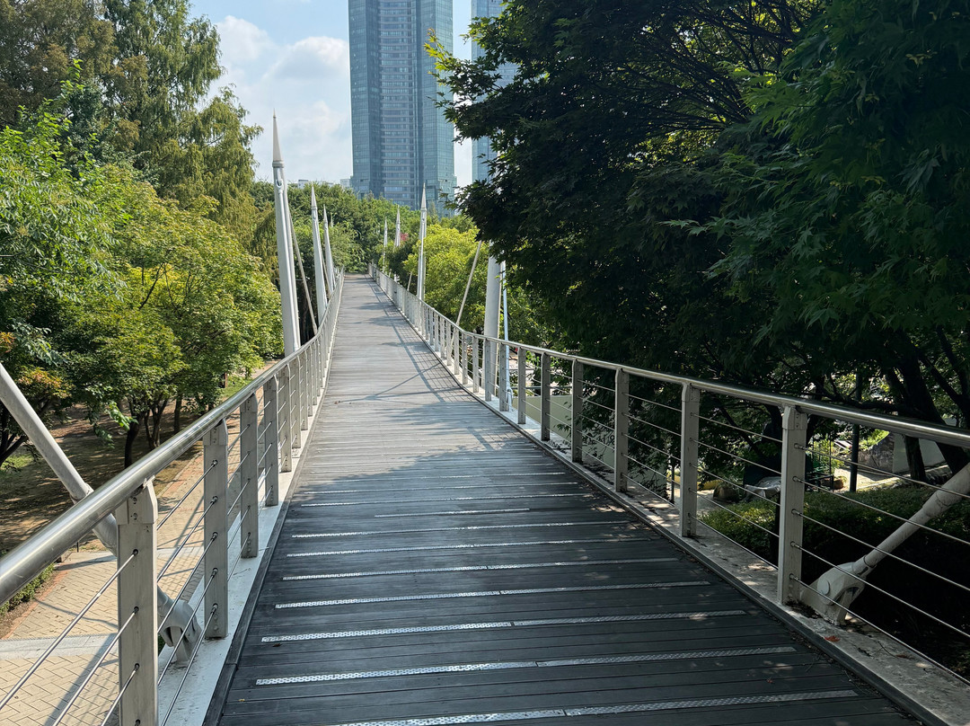 Seoul Forest-首尔必去景点