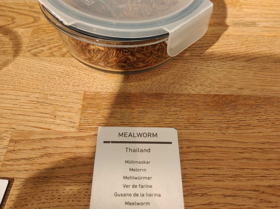Disgusting Food Museum-马尔默必去景点