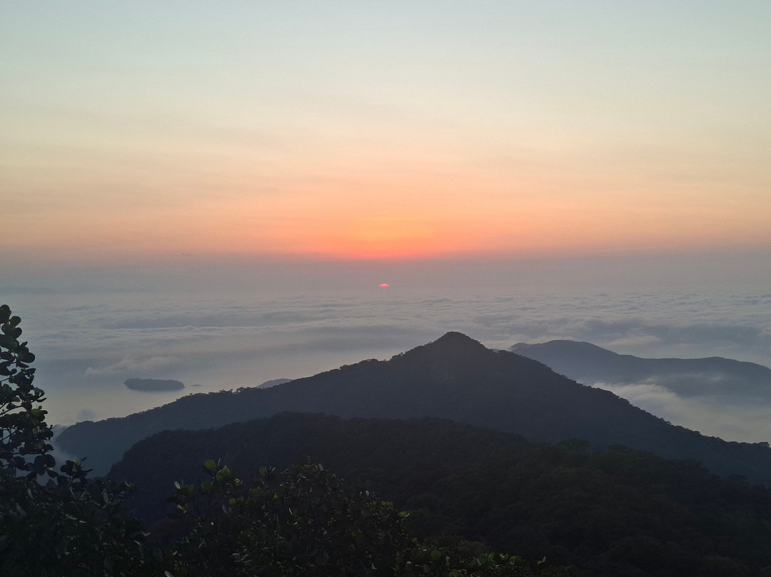 Pico do Papagaio-格兰德岛必去景点