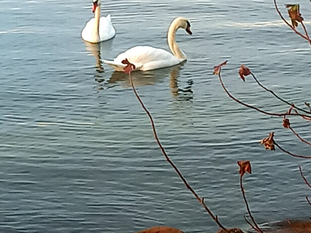 Ahoi Marie