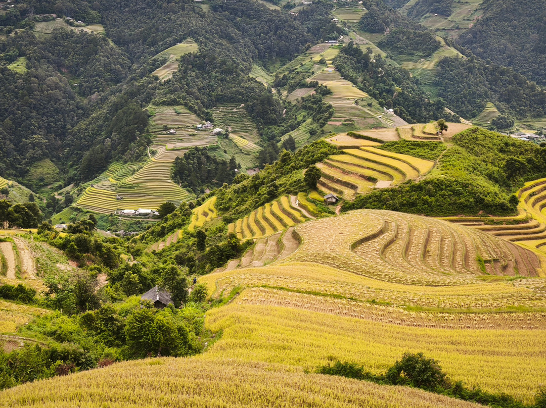 Mu Cang Chai-Yen Bai必去景点