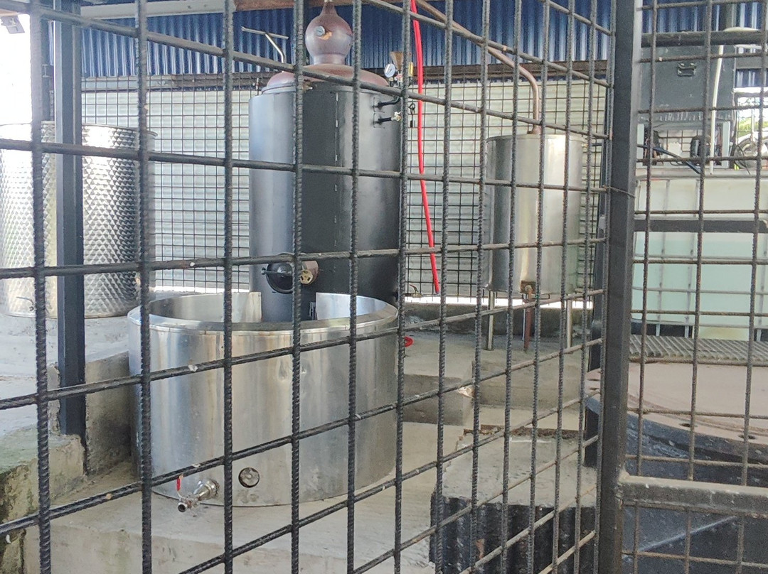 Rhum Gwadinina Distillery-Le Moule必去景点