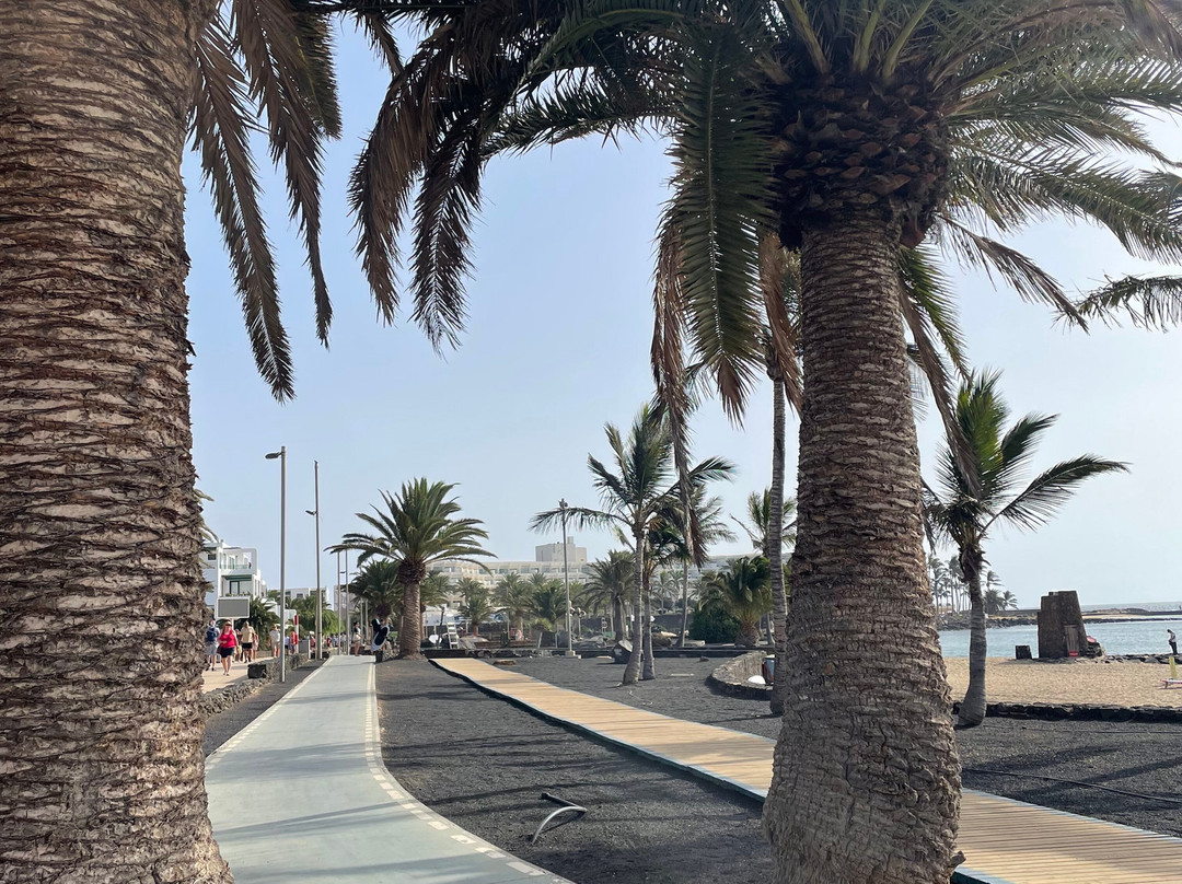 Playa De Los Charcos-科斯塔特吉塞必去景点