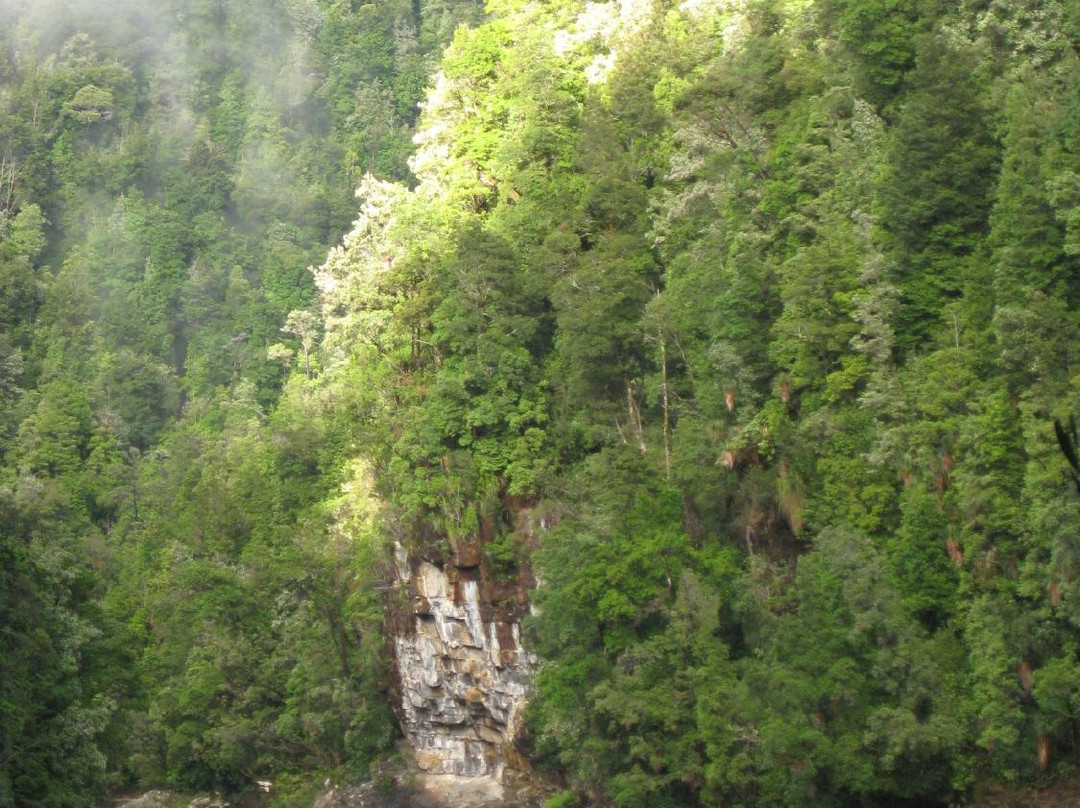 Franklin River Nature Trail-塔斯马尼亚必去景点