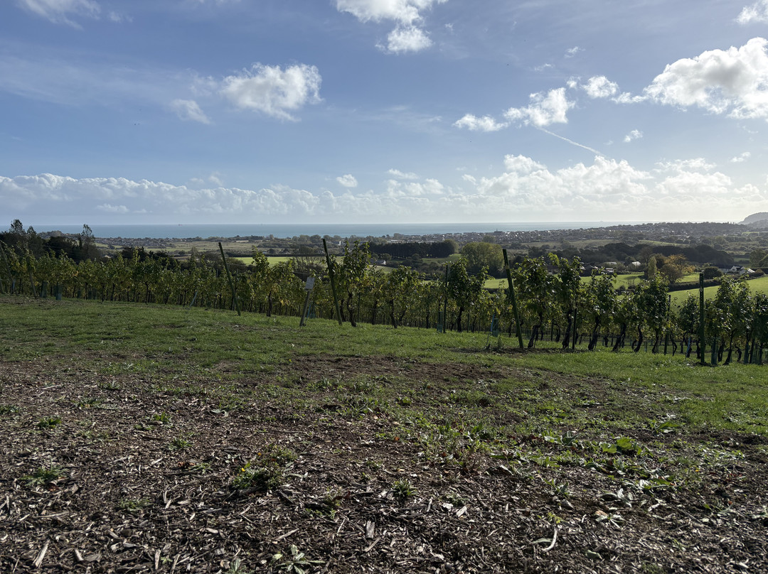 Adgestone Vineyard-Brading必去景点