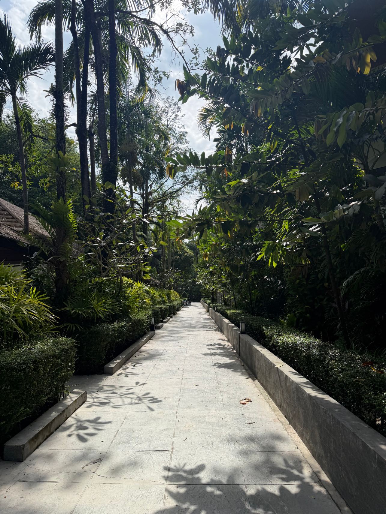 奈扬海滩度假村及水疗中心-旅行者