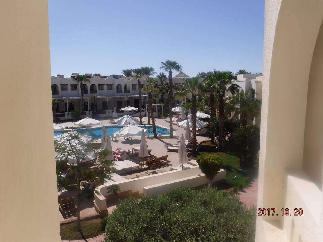 Ras Mohammed酒店住宿-Shored Golden Resort