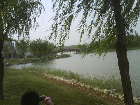 曲江旅游度假区-西安市必去景点