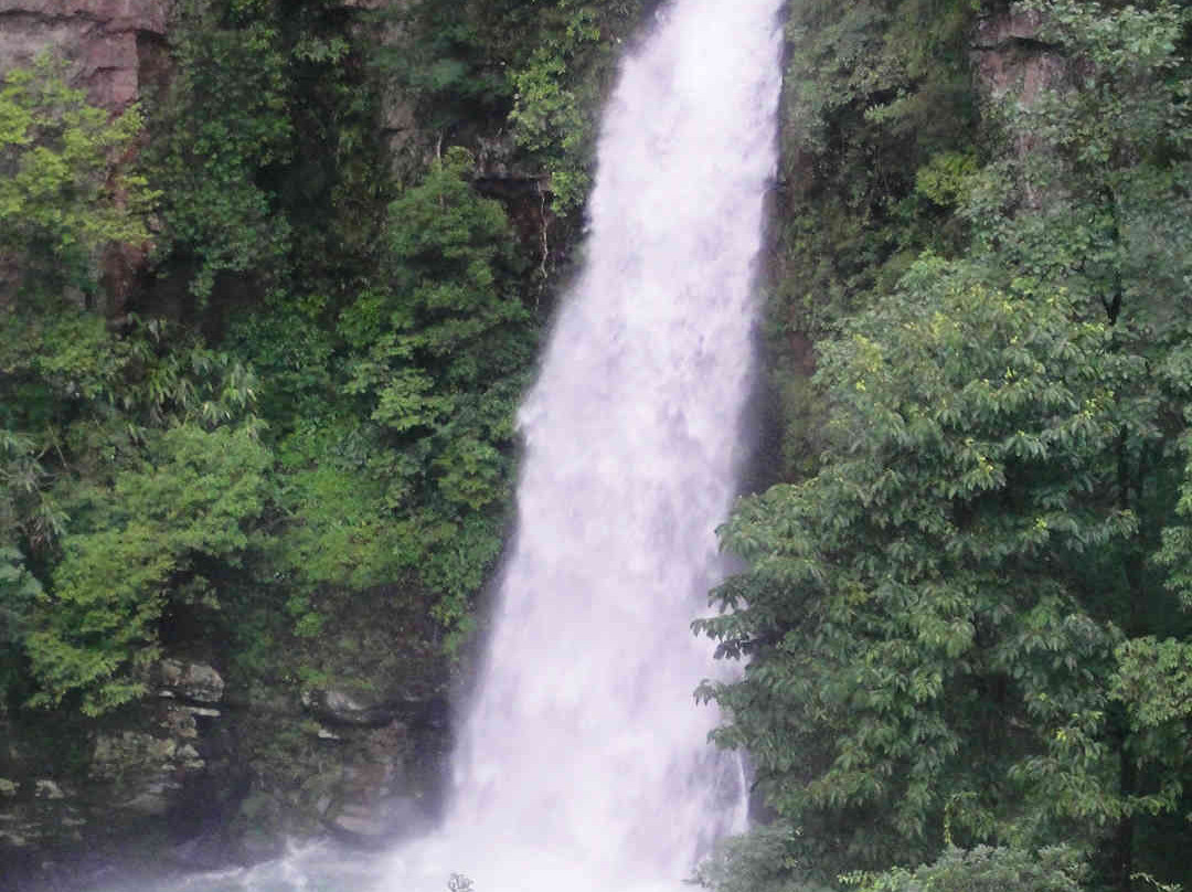 遂川县旅游攻略图片