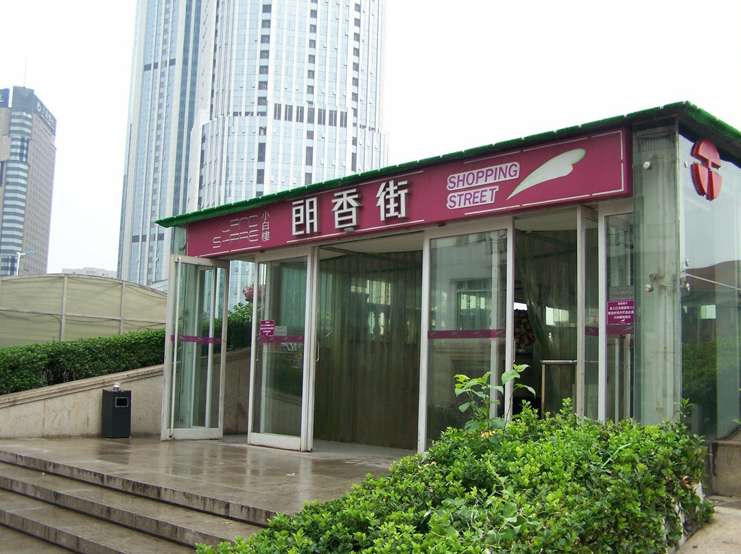 天津小白楼朗香街