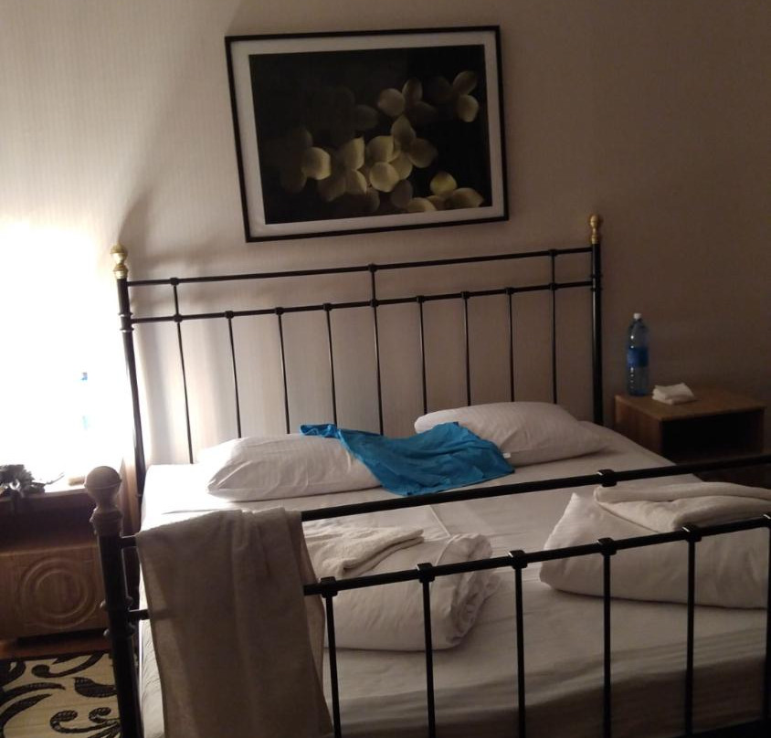 Park Hotel Lesnye Dali