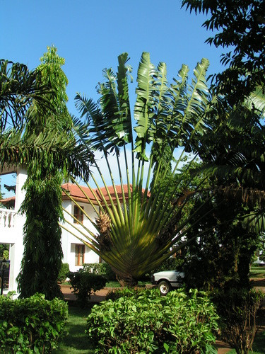 乞力马扎罗区酒店住宿-Kibo Hotel