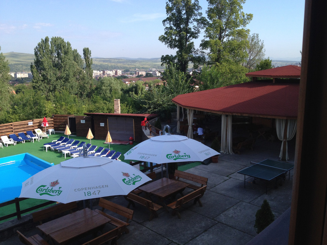 Hotel Ciuperca