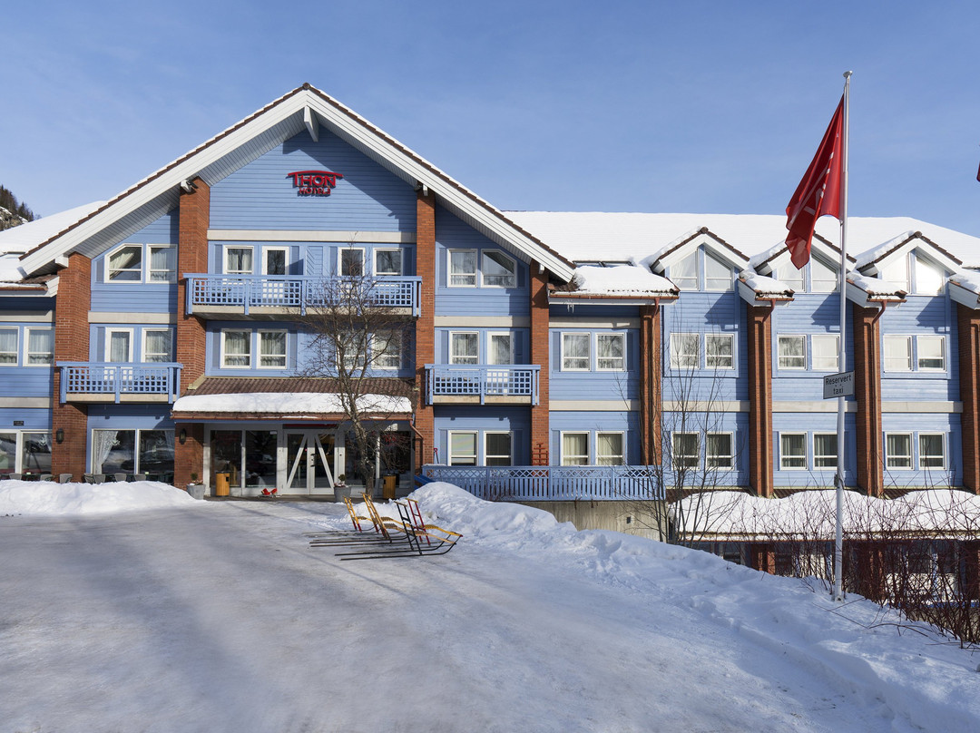 Al酒店住宿-Thon Hotel Hallingdal