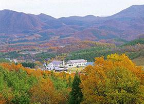 Resort Inn Daikura-官方