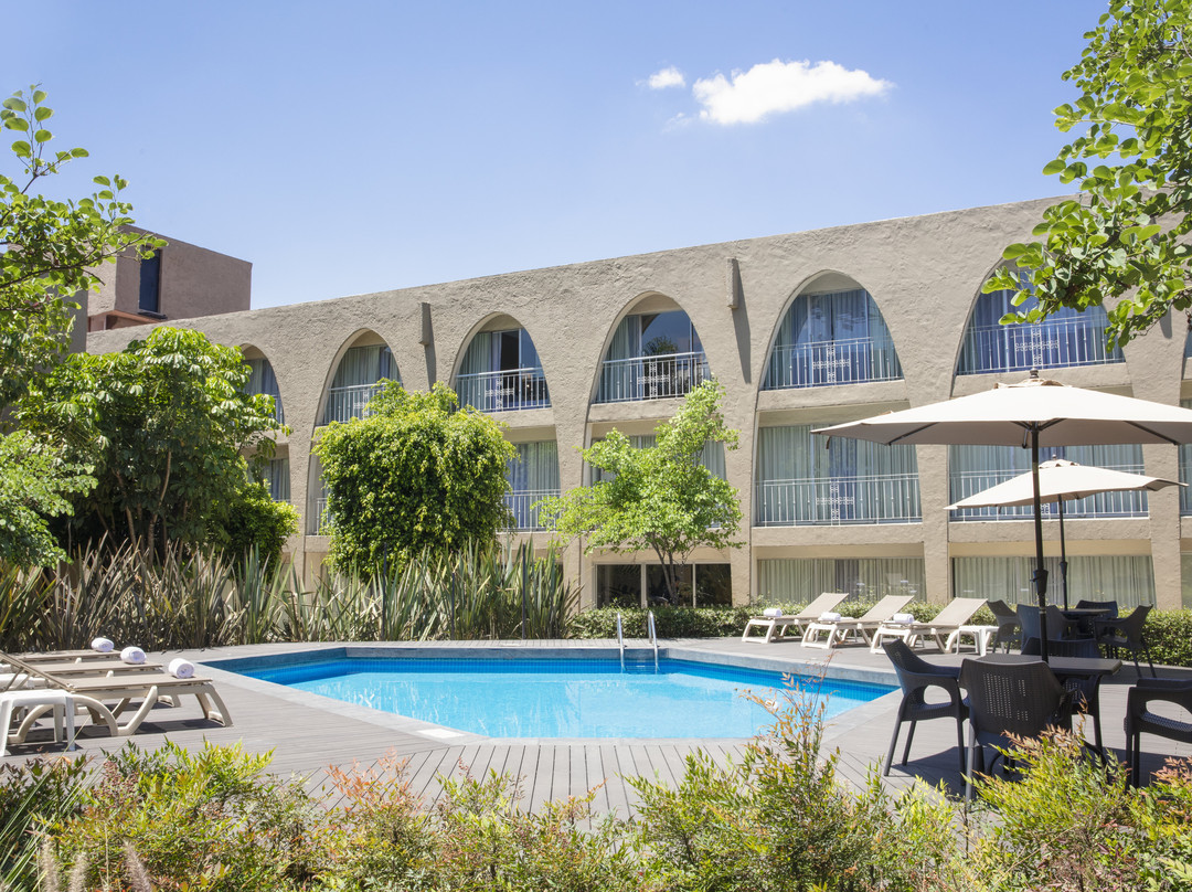 费斯塔客栈酒店主图