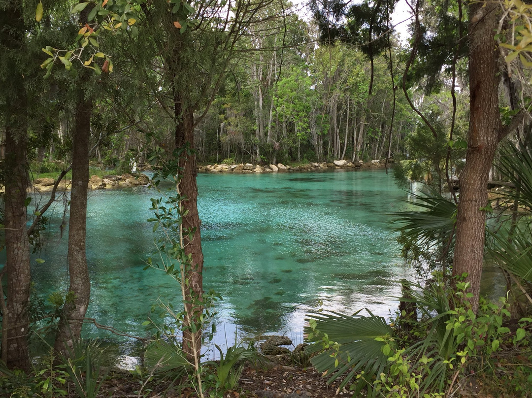 Crystal River National Wildlife Refuge景点图片