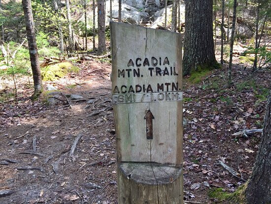 Acadia Mountain Trail景点图片