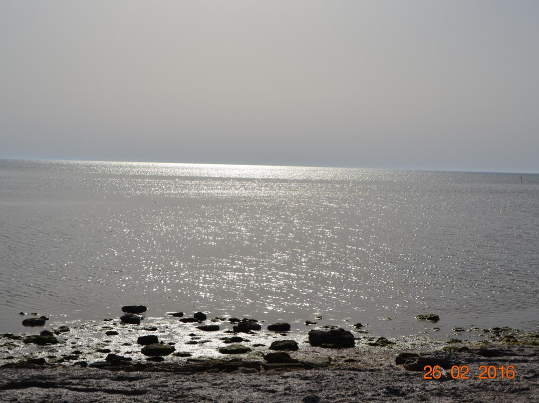 Dukhan Beach景点图片