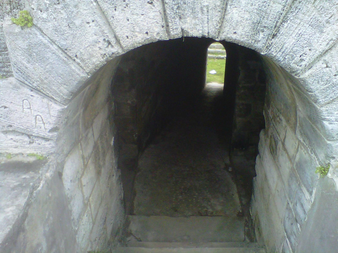 Whale Bay Battery-南安普敦必去景点