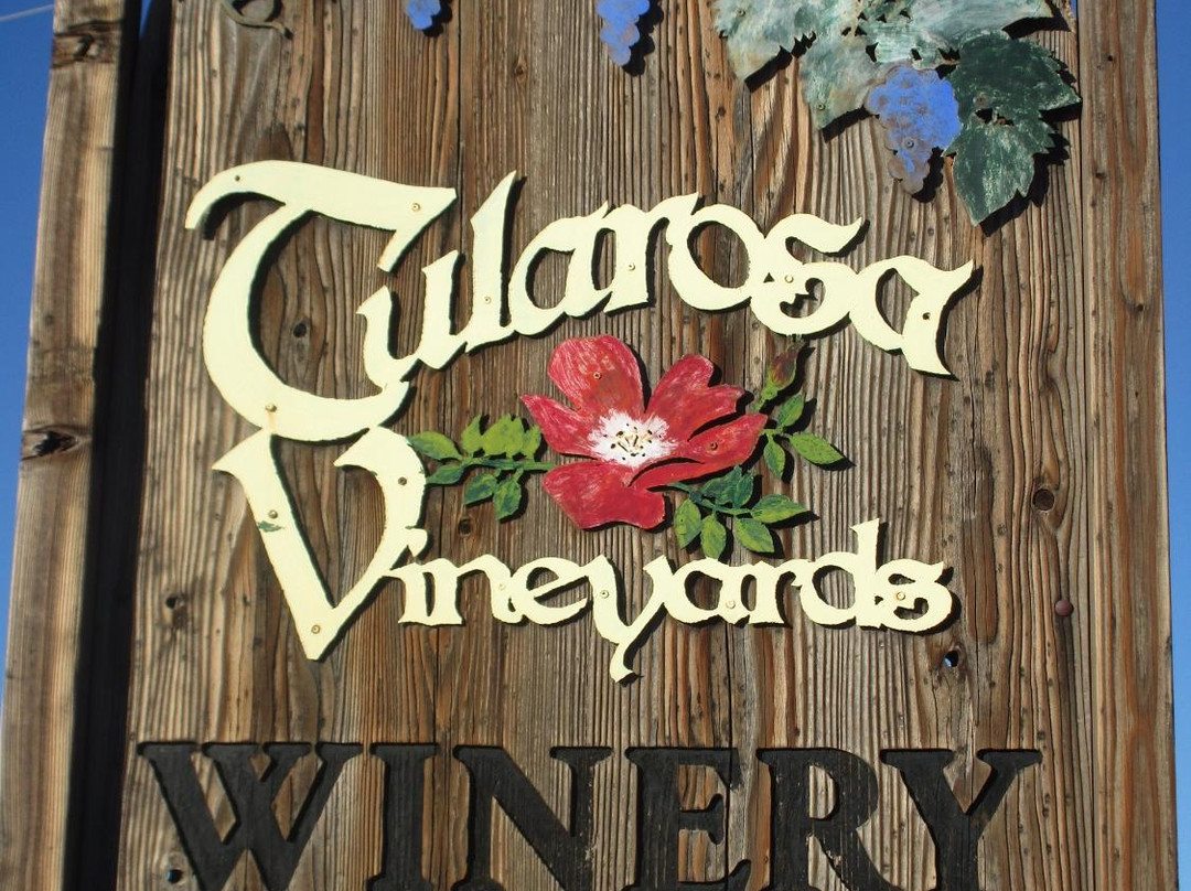 Bent旅游景点-Tularosa Vineyards