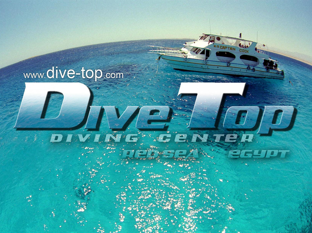 Dive-Top diving center-Safaga必去景点