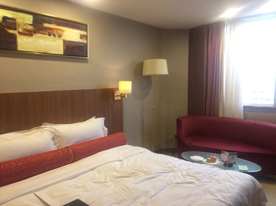 丹阳金陵饭店主图