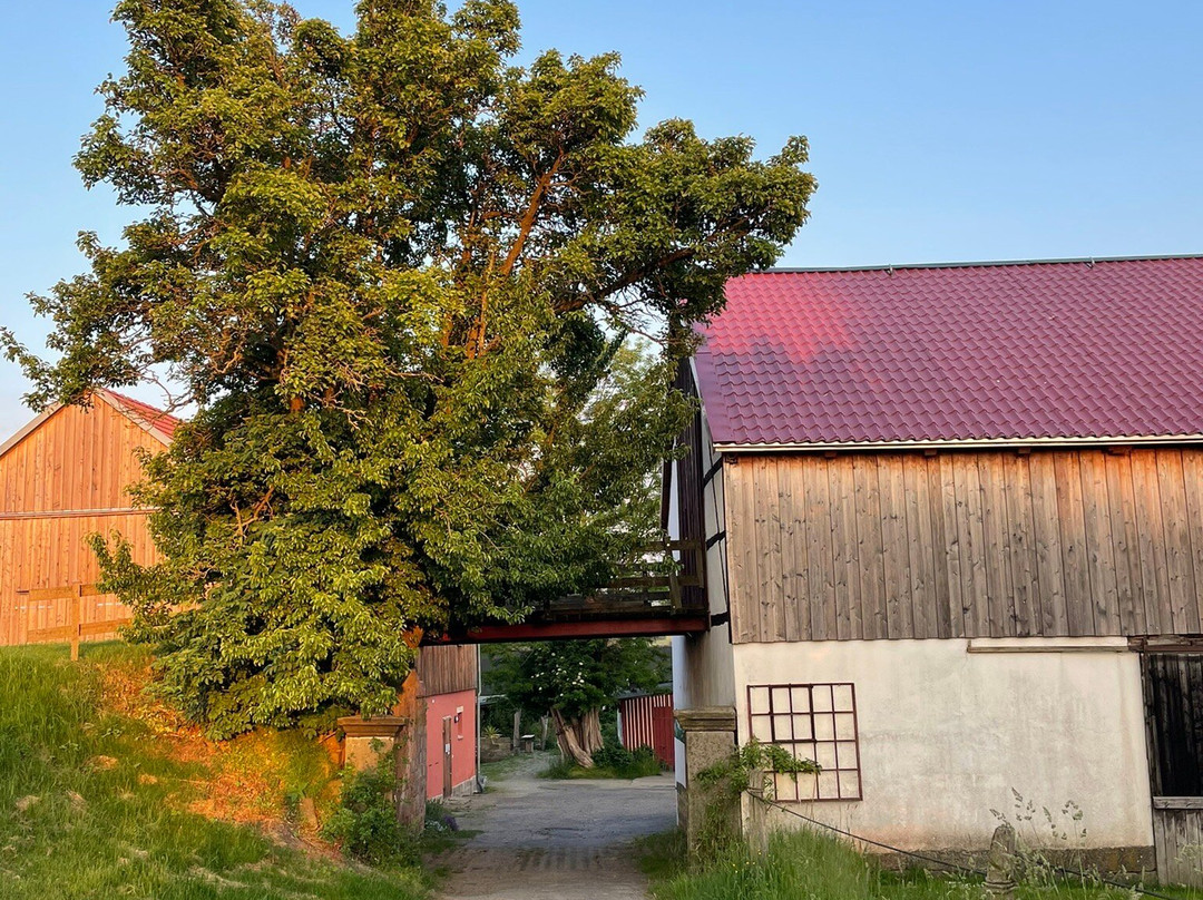 Aktivhof