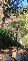 Kudlu Theertha Falls景点图片