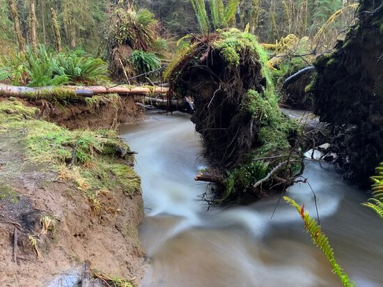 Kagan Bay Recreation Site-Daajing Giids必去景点