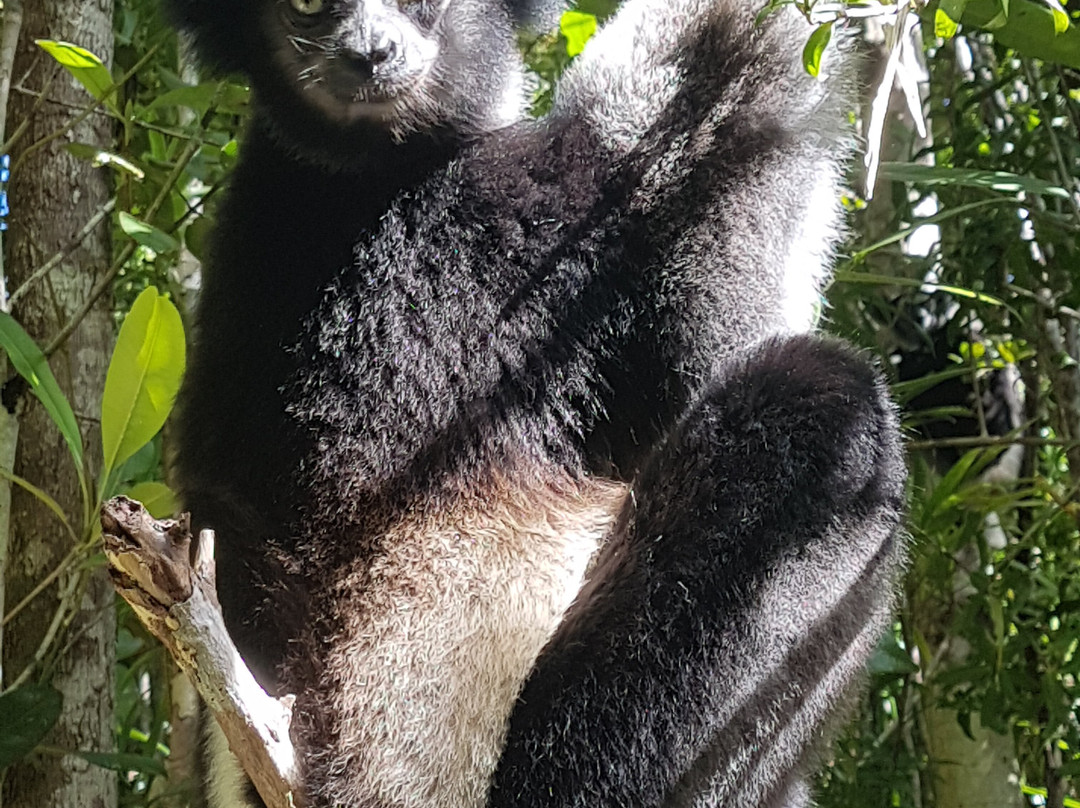 Santia Tours Madagascar景点图片