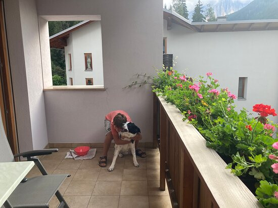 B&B Hotel Pardeller主图