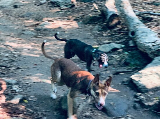 Lake Mohegan Recreation Area-费尔菲尔德必去景点