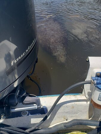 Tropic Star of Pine Island-Bokeelia必去景点