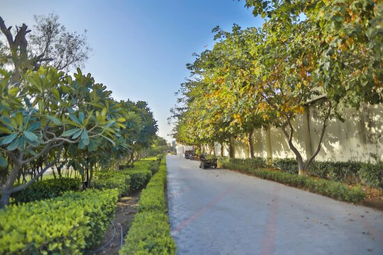 Sterling Amargarh Jodhpur主图