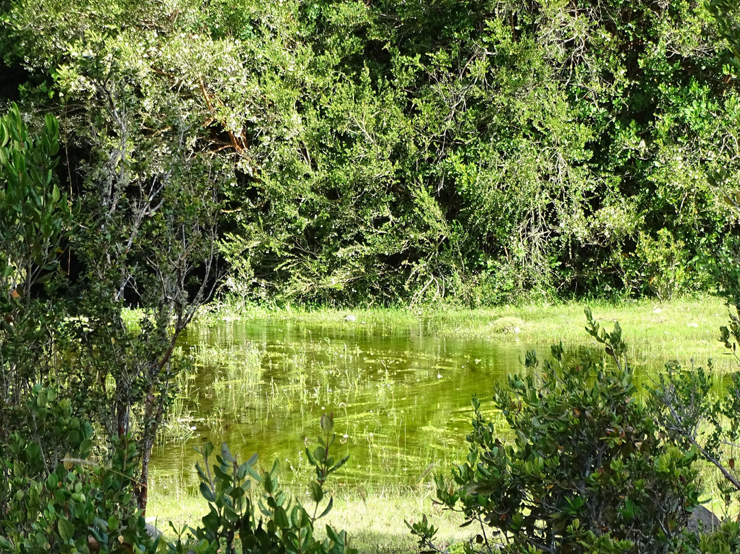 Agrocamping Familiar Ecológico Curaco