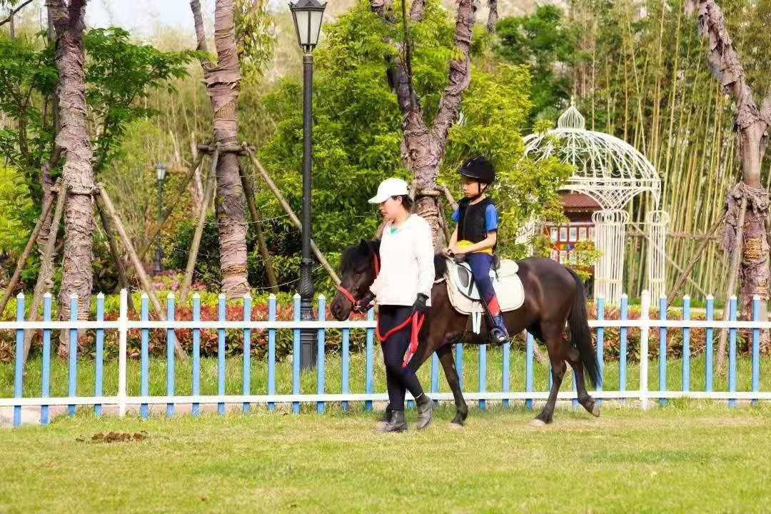 武汉汉南绿地铂瑞酒店主图